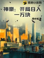 琵琶惊鸿庶女逆袭长安乐坊