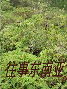 斗罗：七杀惊绝世