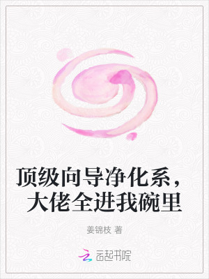 穿越成王妃救夫记